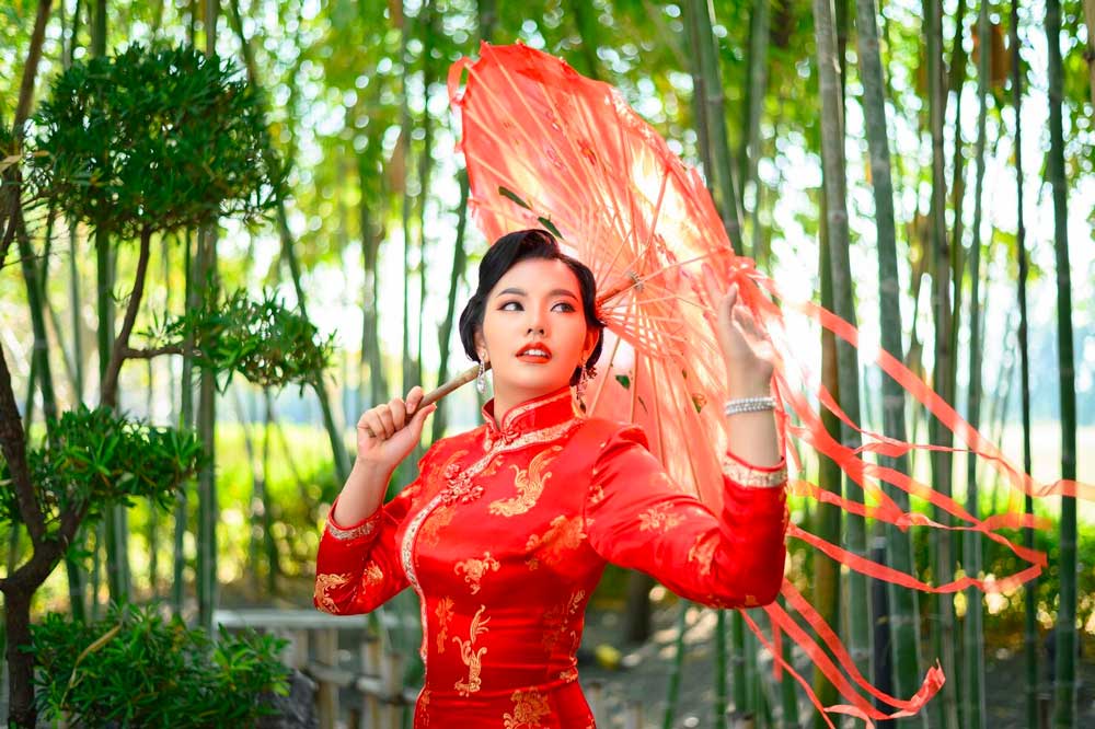 Vietnamese Mail Order Wife Cost